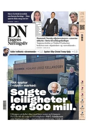 Dagens Næringsliv (DN)