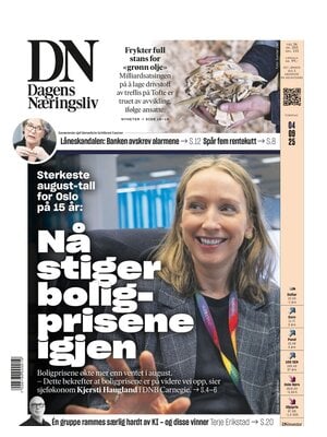 Dagens Næringsliv (DN)