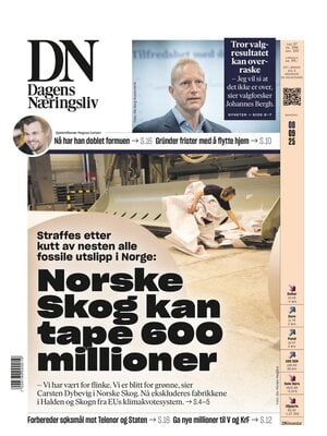 Dagens Næringsliv (DN)
