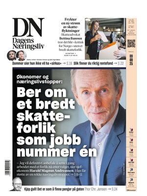 Dagens Næringsliv (DN)
