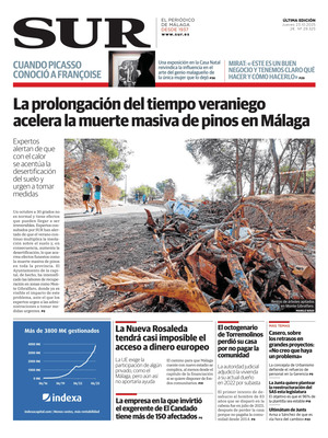 Diario SUR