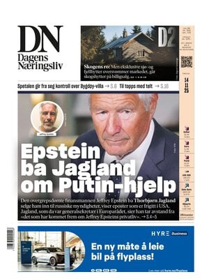 Dagens Næringsliv (DN)