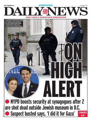Daily News (New York)