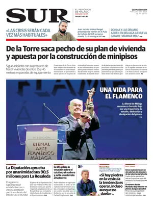 Diario SUR