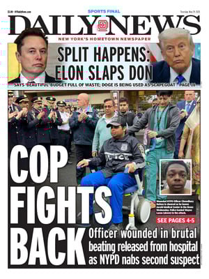 Daily News (New York)