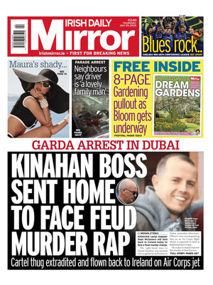 Irish Daily Mirror