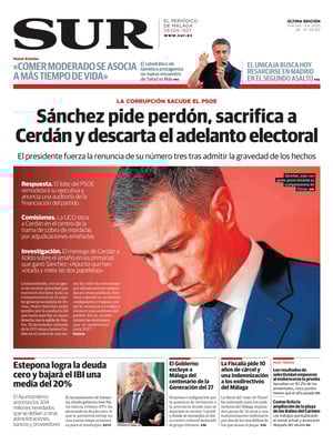Diario SUR