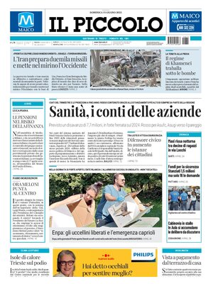Il Piccolo (Trieste)