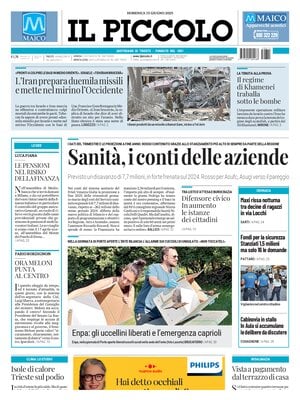 Il Piccolo (Trieste)