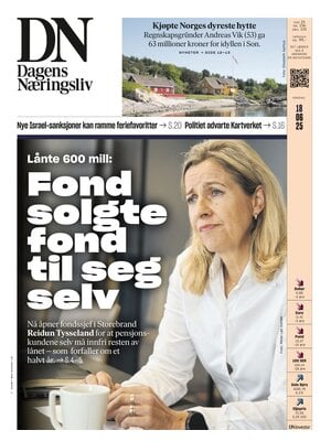 Dagens Næringsliv (DN)