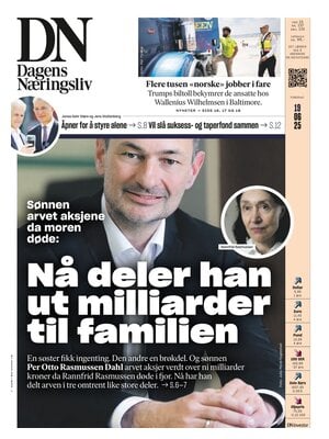 Dagens Næringsliv (DN)
