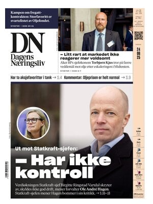 Dagens Næringsliv (DN)