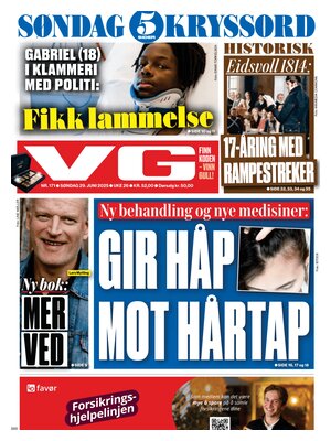 Verdens Gang (VG)