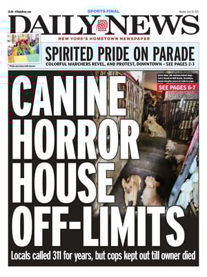 Daily News (New York)