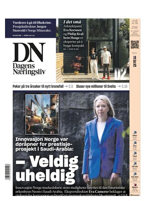 Dagens Næringsliv (DN)