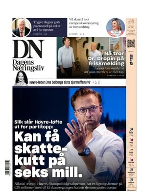 Dagens Næringsliv (DN)