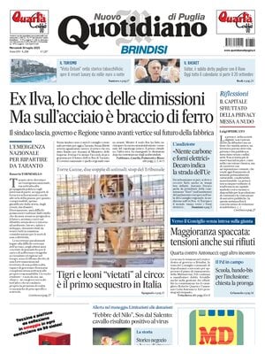 Nuovo Quotidiano di Puglia (Brindisi)