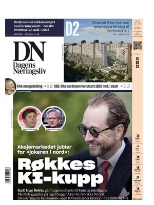 Dagens Næringsliv (DN)