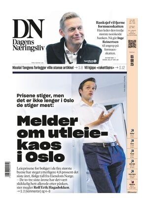 Dagens Næringsliv (DN)