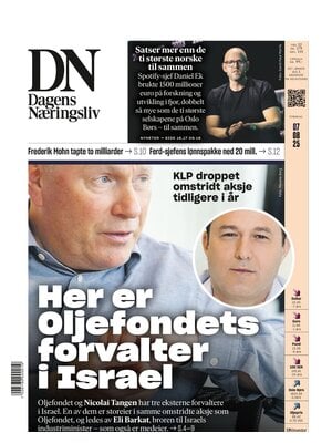 Dagens Næringsliv (DN)