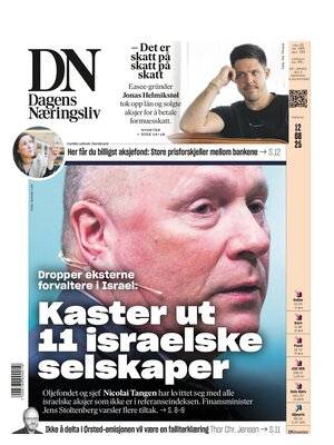 Dagens Næringsliv (DN)
