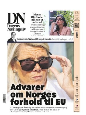 Dagens Næringsliv (DN)