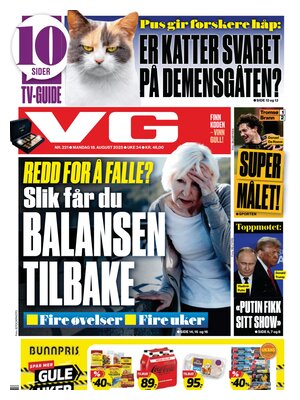 Verdens Gang (VG)