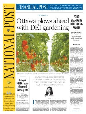 National Post (The Post)
