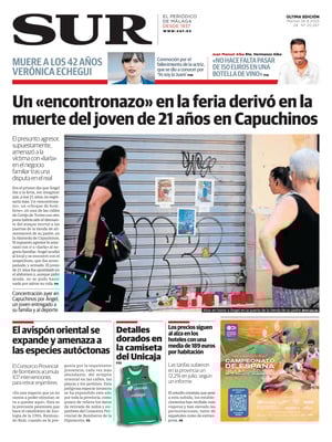 Diario SUR