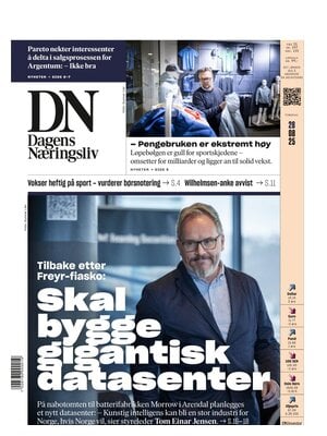 Dagens Næringsliv (DN)