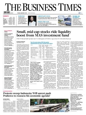 The Business Times (Singapore)