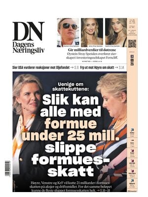 Dagens Næringsliv (DN)