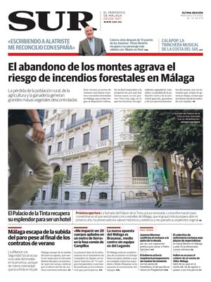 Diario SUR