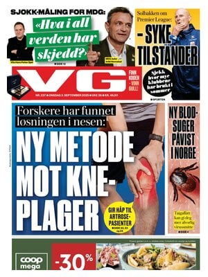 Verdens Gang (VG)