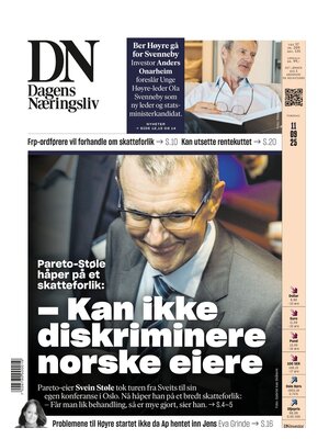 Dagens Næringsliv (DN)