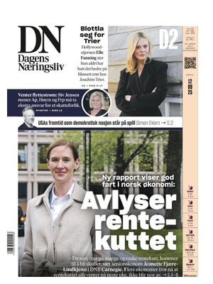 Dagens Næringsliv (DN)