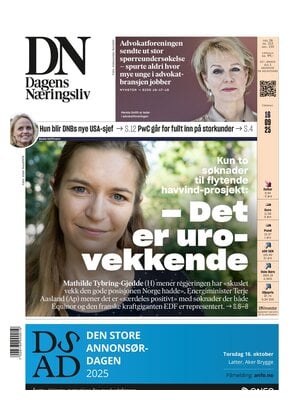 Dagens Næringsliv (DN)