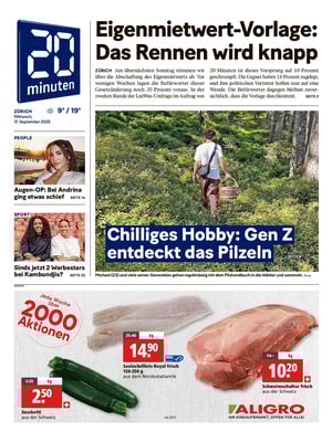 20 Minuten