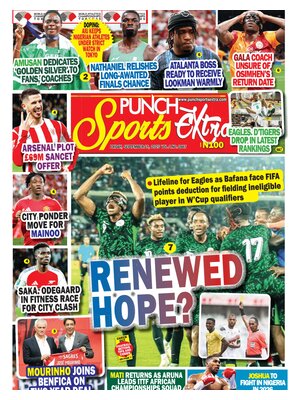 Punch Sports Extra