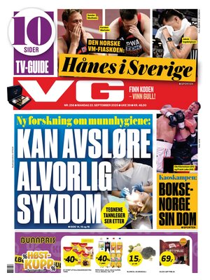 Verdens Gang (VG)