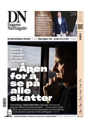 Dagens Næringsliv (DN)