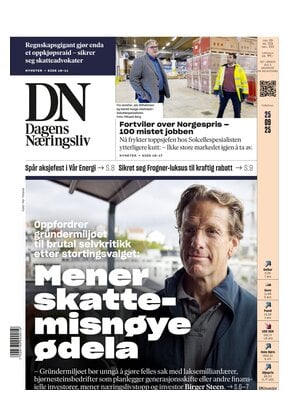 Dagens Næringsliv (DN)
