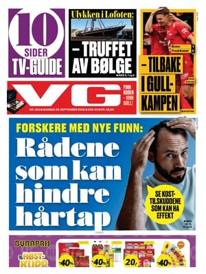 Verdens Gang (VG)