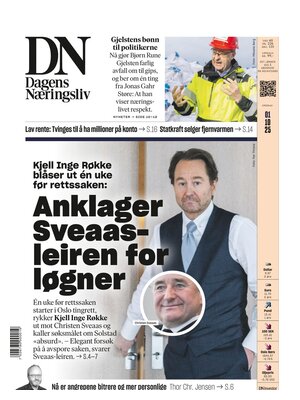 Dagens Næringsliv (DN)