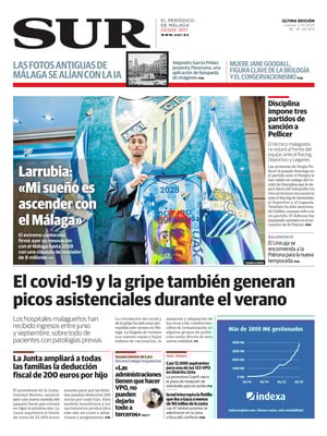 Diario SUR