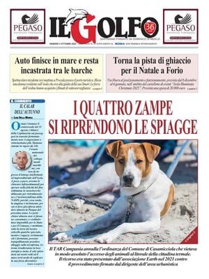 Il Golfo