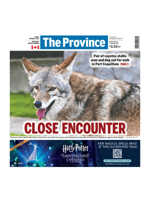 The Province