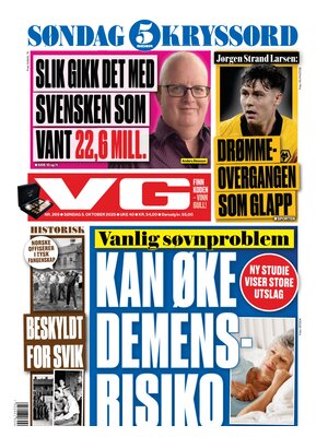 Verdens Gang (VG)