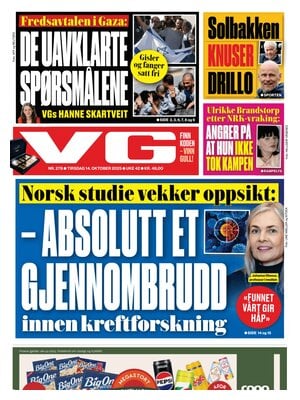 Verdens Gang (VG)