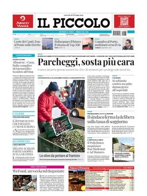 Il Piccolo (Trieste)